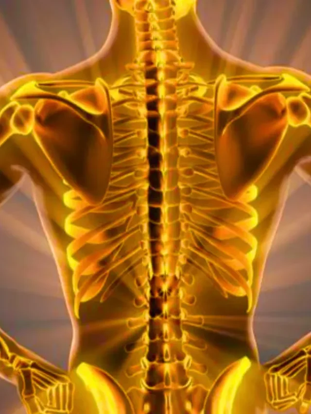 Bone Broth Benefits for Bone Health