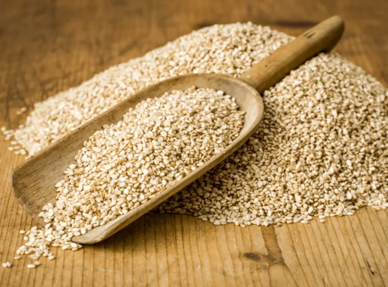 sesame seed