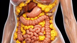 Anti-Inflammatory Foods Your Shield Against Menopause Belly