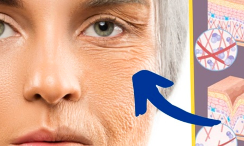 menopause collagen