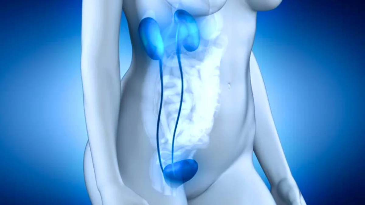 Urinary incontinence during menopause