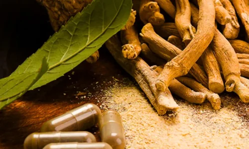 Ashwagandha: The Natural Ally for Women in Menopause