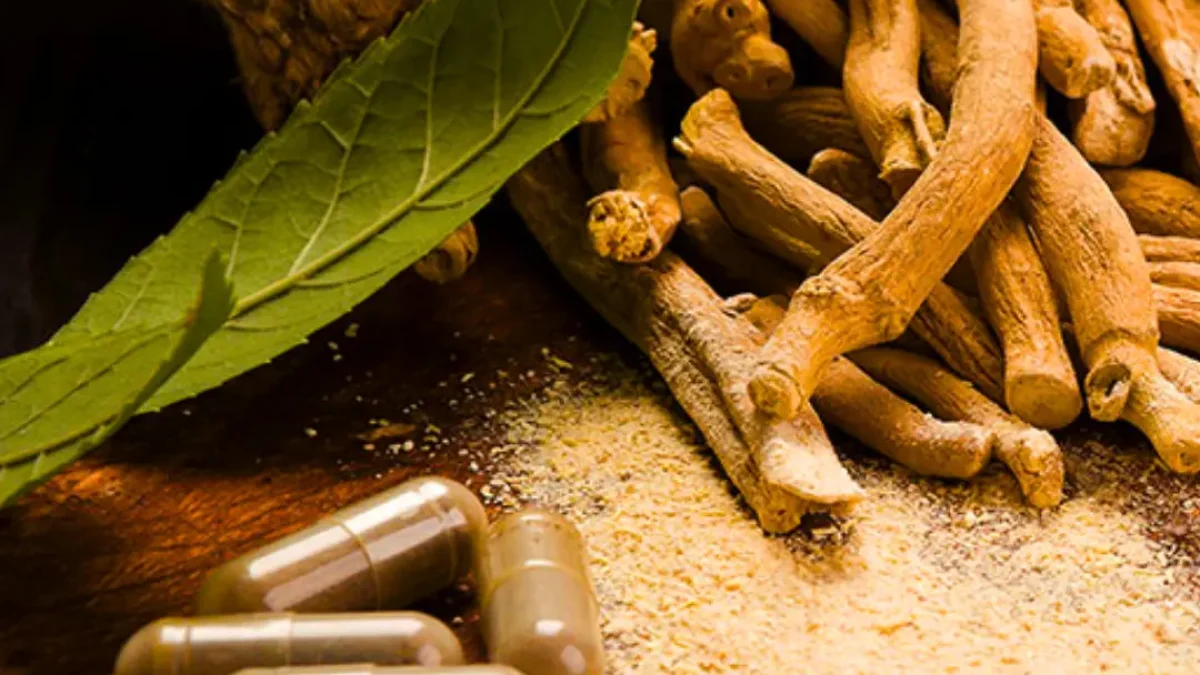 ashwagandha for menopause