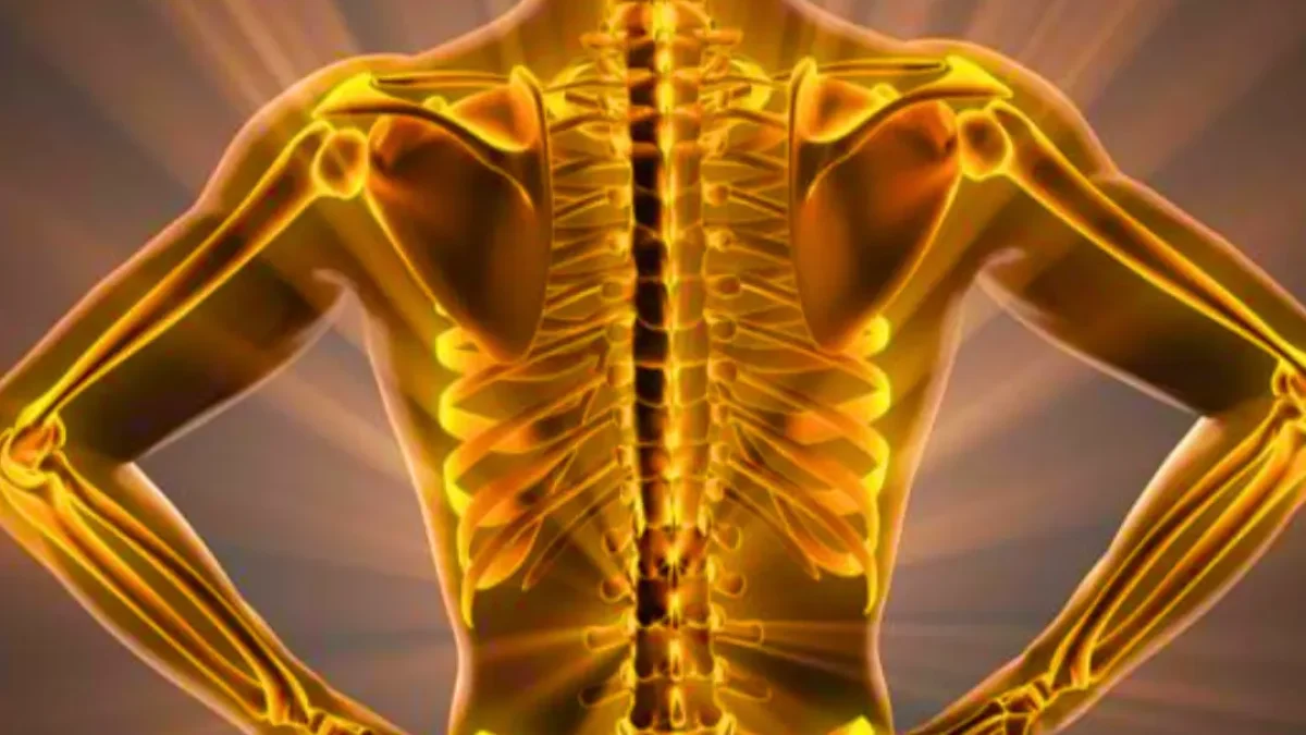 health benefits to bone broth