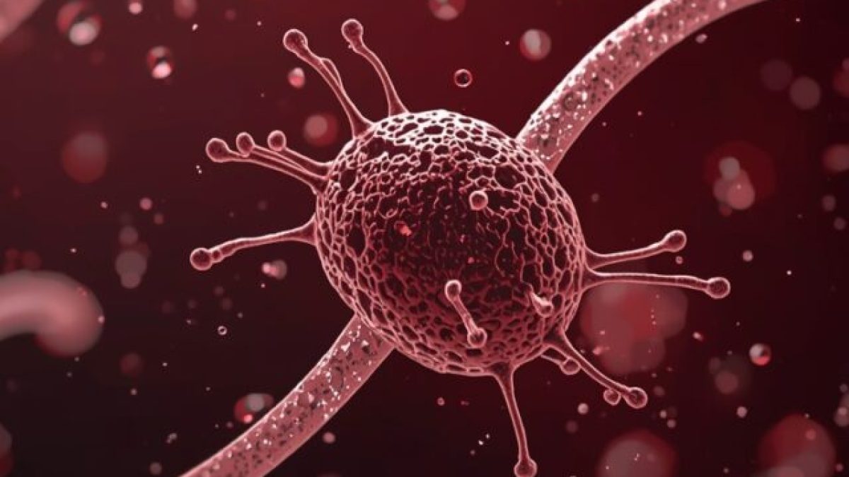 Estrogen and menopause